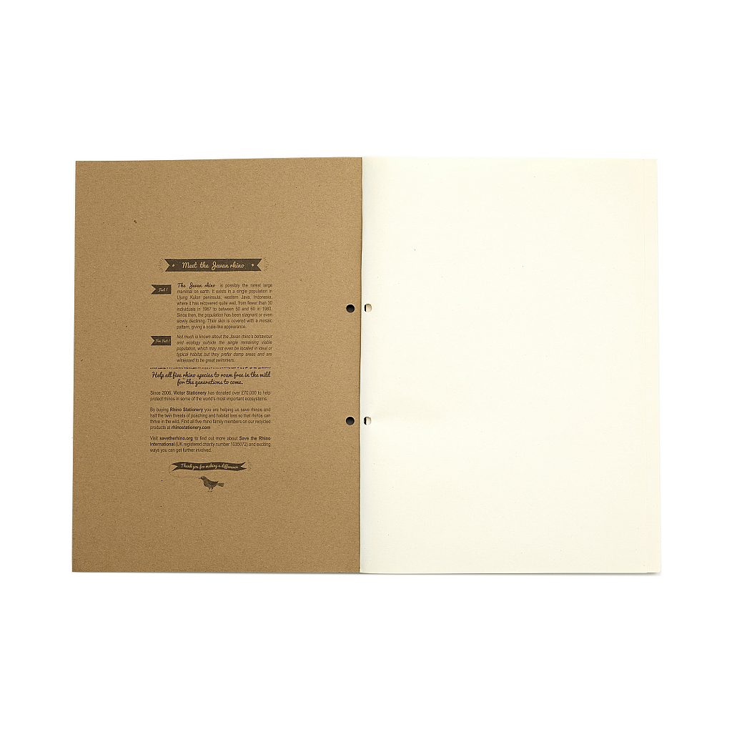 Pack of 3 Rhino A4 Recycled 160 Leaf 8mm Lined with Margin Refill Pads